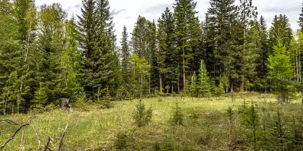 37 Soaring Eagle Trail