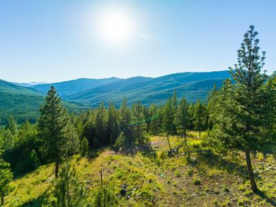467 Wolf Creek Road
