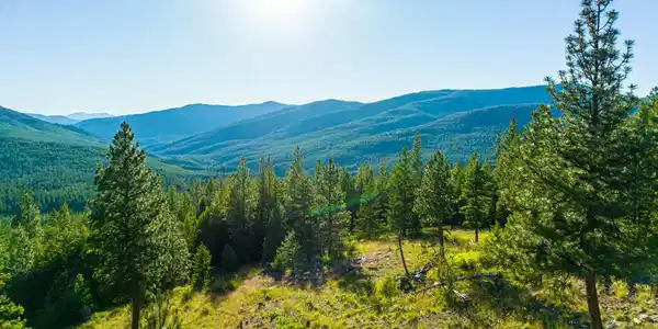 467 Wolf Creek Road