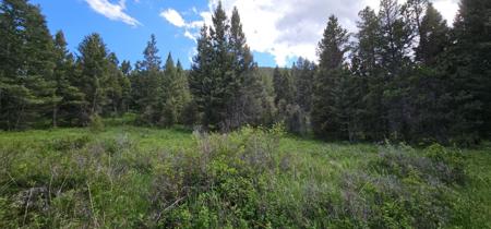 11 Tract, Hall Creek