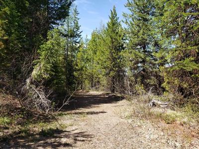 Tract 10 Ida Lode Nine Mile Road