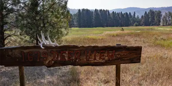 1679 Deer View