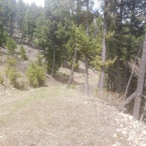 NHN Wyman Gulch Road