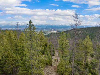 NHN Wapiti Hills