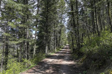 13275 Balsamroot Road