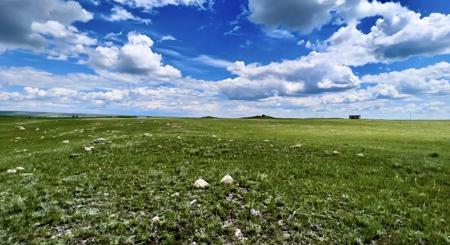 Lot 216 S Tamarack Drive