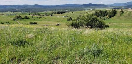 172 Grassy Loop