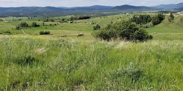 172 Grassy Loop