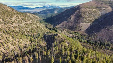 Nhn Swamp Creek Hunting Ranch