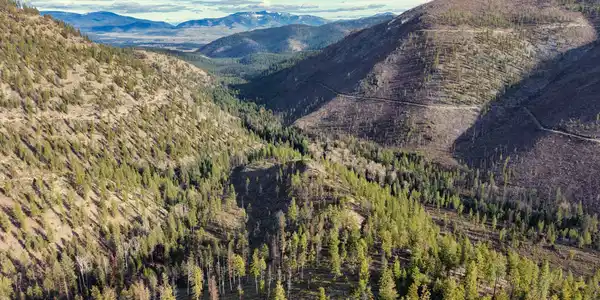 Nhn Swamp Creek Hunting Ranch