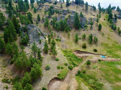 NHN Horned Lark Lane