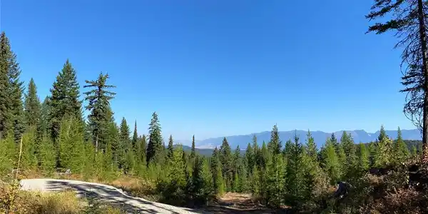 TR2 Roberts Creek Road