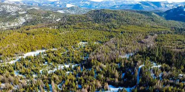 NHN Elk Creek - McGinnis Meadows Road Section 11