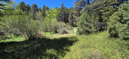 TBD Powerline Road