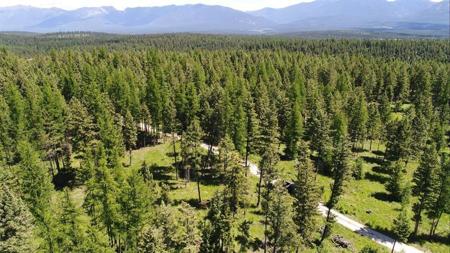Lot 2 Meadow Springs Subdivision