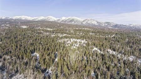 635 Kaeding Creek Road