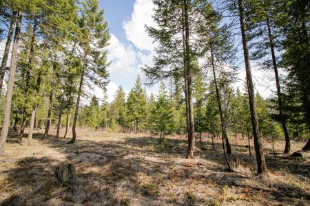 Nhn Jennings Haul Road