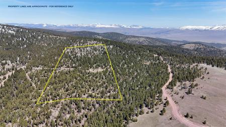 Tract 30 Turk Road