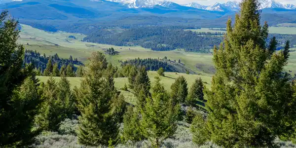 Running J Ranch