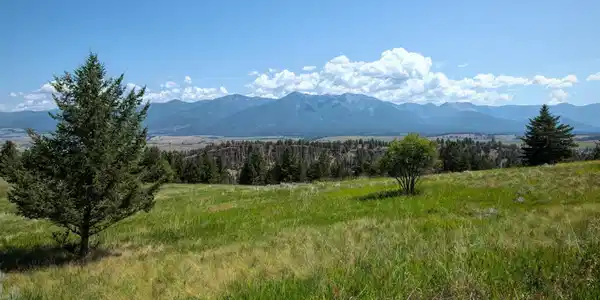 9.76 Acres-Scenery Hill