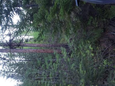 Tract 8 Sheridan Lode Nine Mile Road