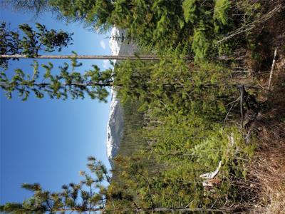 Tract 12 Grouse Lode Nine Mile Road