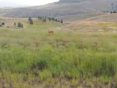 NHN Deemer Creek Road
