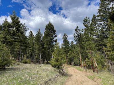 Tract 2B Grizzly Gulch Drive
