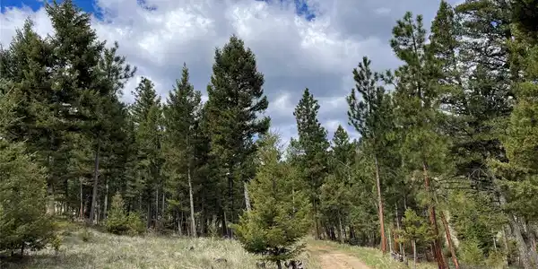 Tract 2B Grizzly Gulch Drive
