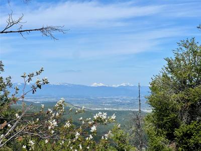 NHN Patrick Creek Road