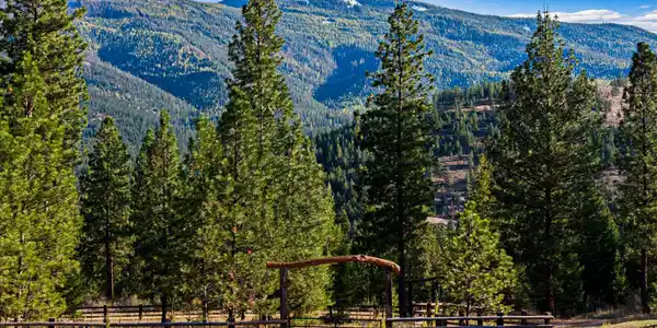 Nhn Bulls & Bucks Ranch