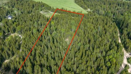 NHN Fortine Creek Road