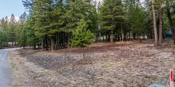 NHN Forest Loop Road