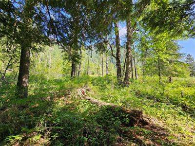 Lot 1 Conifer Lane