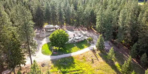 558 Timber Trail