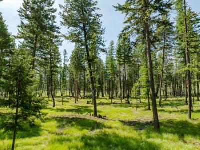 531 Northern Larch Trail