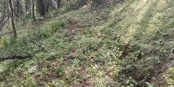 NKN Gonq Road/Contract Mill Road