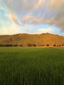 Lot A Jensen Road