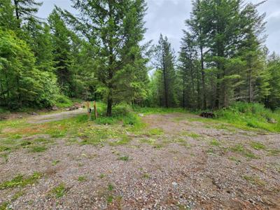 960 Old Coon Hollow Road