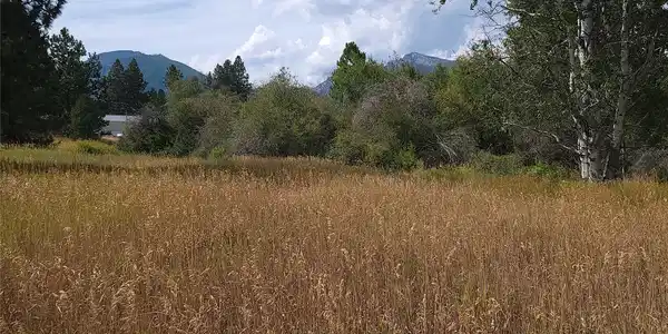 NHN Canyon Creek Road