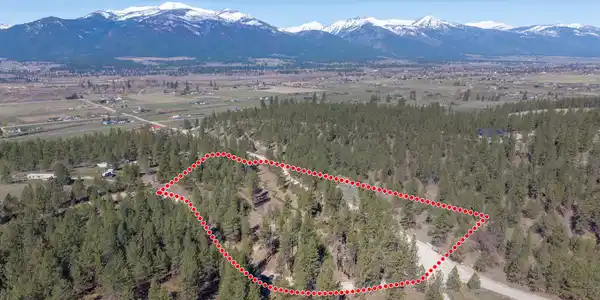 419 Treece Gulch Road