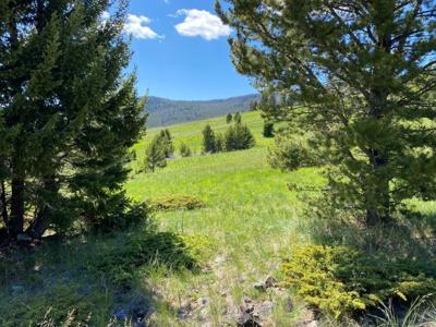 TBD Indian Creek Road