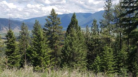 lot 20 Arlee Pines