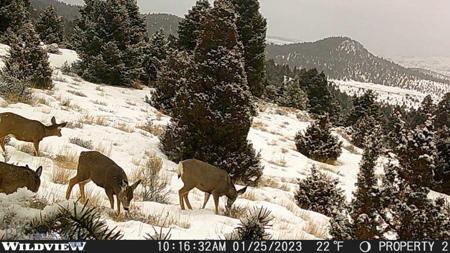 Lot 74 Pony Express Trail