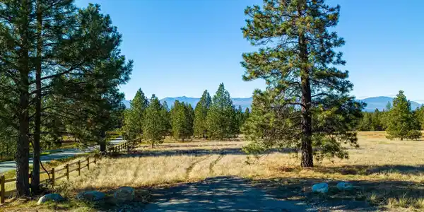 542 Paradise Loop