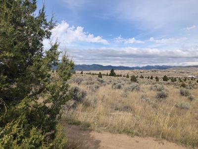 tbd Indian Paint Brush Road