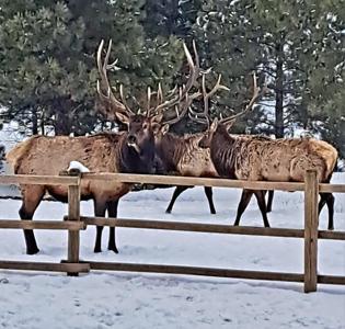 5 Alpine Valley Lane