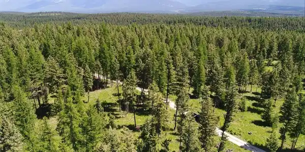 Lot 2 Meadow Springs Subdivision