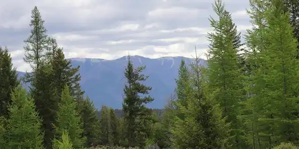 Lot 1A Meadow Springs