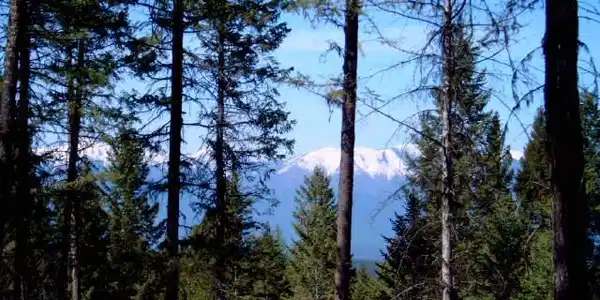 161 Coyote Ridge Pass Road